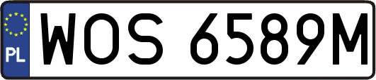 WOS6589M
