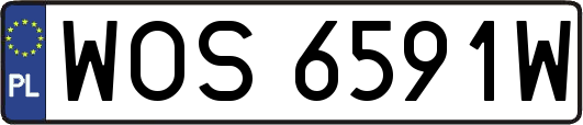 WOS6591W