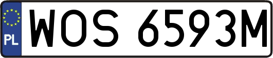 WOS6593M
