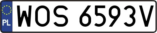WOS6593V