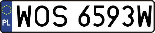 WOS6593W