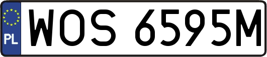 WOS6595M