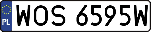 WOS6595W
