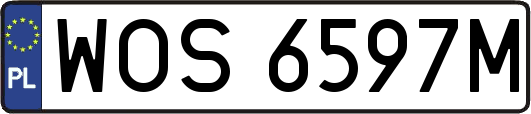 WOS6597M