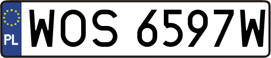 WOS6597W