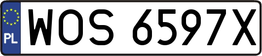 WOS6597X