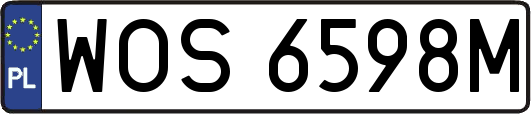 WOS6598M