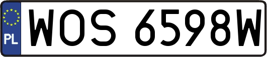 WOS6598W