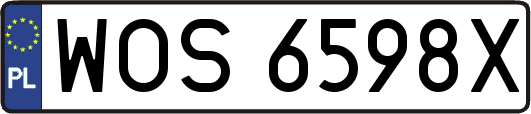 WOS6598X