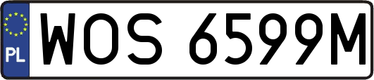 WOS6599M