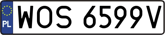 WOS6599V