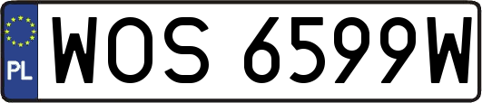 WOS6599W