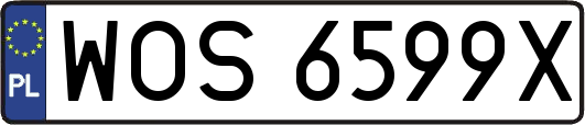 WOS6599X