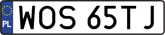 WOS65TJ