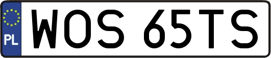 WOS65TS