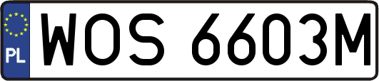 WOS6603M