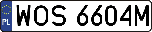 WOS6604M