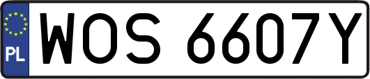 WOS6607Y