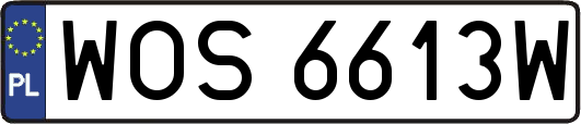 WOS6613W