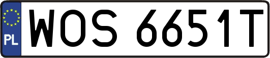 WOS6651T