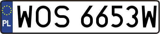 WOS6653W