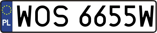 WOS6655W