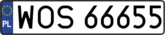 WOS66655