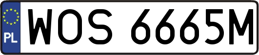 WOS6665M