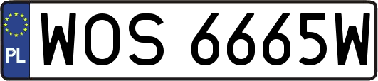 WOS6665W