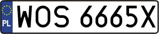WOS6665X