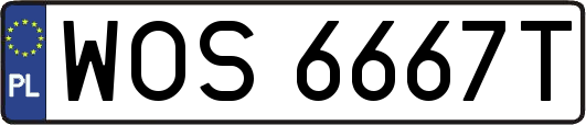 WOS6667T
