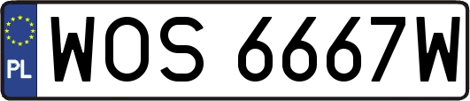 WOS6667W