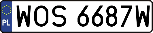 WOS6687W