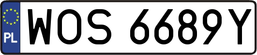WOS6689Y