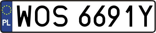 WOS6691Y