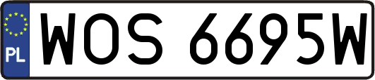 WOS6695W