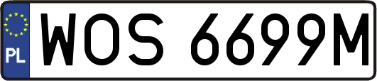 WOS6699M