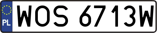 WOS6713W