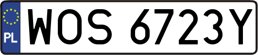 WOS6723Y