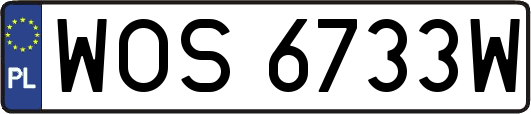 WOS6733W