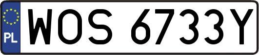WOS6733Y
