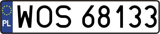 WOS68133