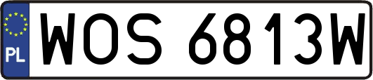 WOS6813W