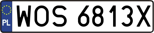 WOS6813X