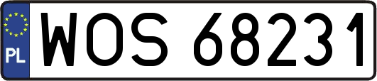 WOS68231