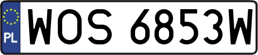 WOS6853W
