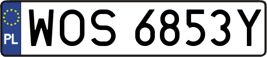 WOS6853Y