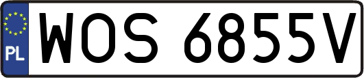 WOS6855V