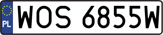 WOS6855W