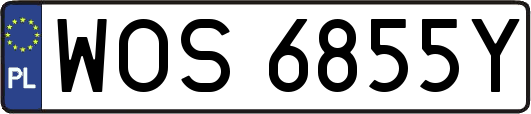 WOS6855Y
